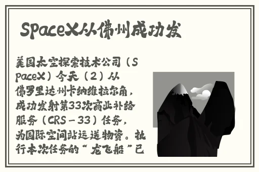 一码两码三码